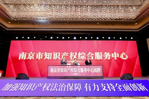 激活知識產權內生動力，南京以高質量服務賦能經濟社會騰飛