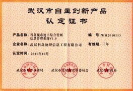 創(chuàng)新驅(qū)動(dòng)發(fā)展，自主研發(fā)軟件入選武漢市政府采購名錄，引領(lǐng)網(wǎng)絡(luò)技術(shù)服務(wù)新篇章